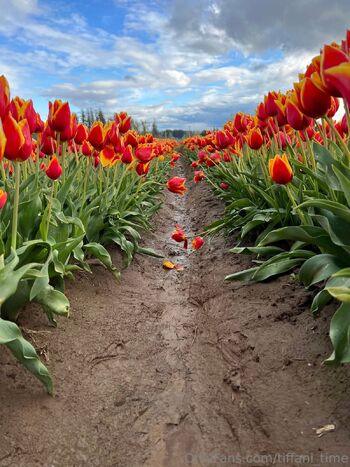 Tiffani Tim / tiffani_time nude photo #10