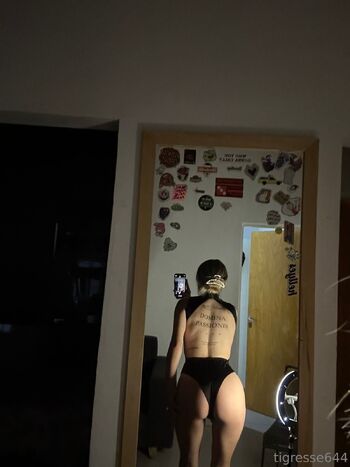 Tigresse / tigresse644 nude photo #14