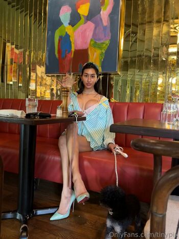 Pixie WON 1 HOTTEST TRANS / tinypix nude photo #36