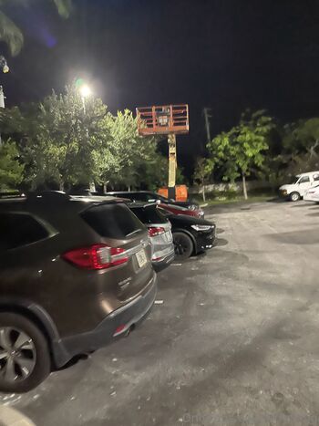 T / tjtheking nude photo #4