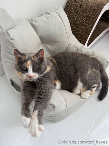 Tori Hayes / tori_hayes nude photo #25