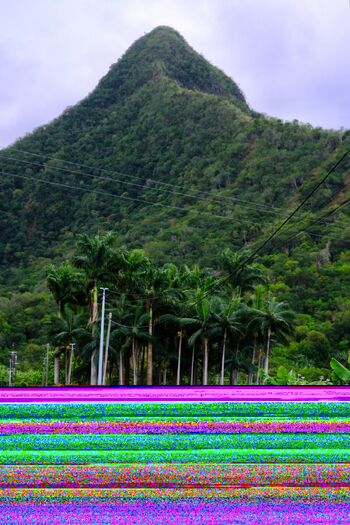 Touched By Natur / touched_by_nature nude photo #32