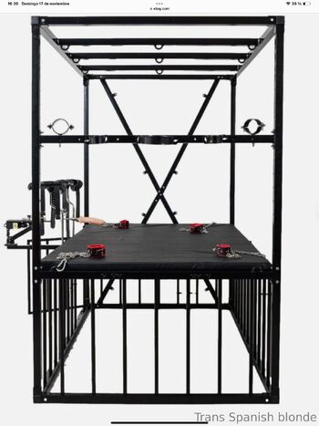 Trans Barbie online 24 / transbarbiexxl nude photo #27