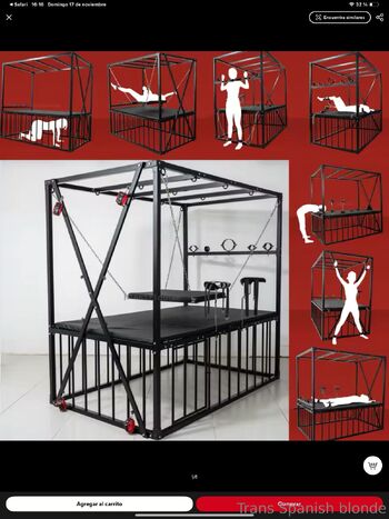 Trans Barbie online 24 / transbarbiexxl nude photo #28