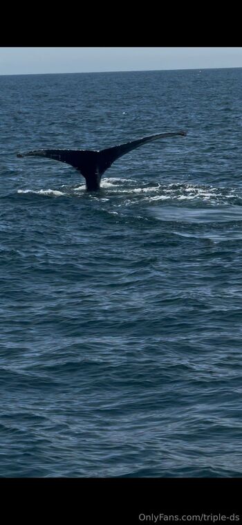 Bridge / triple-ds nude photo #3