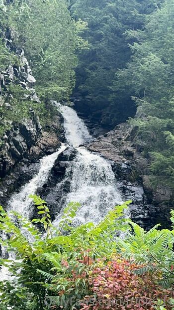 Bridge / triple-ds nude photo #28