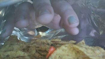 Giantess TushyPand / tushypanda nude photo #14