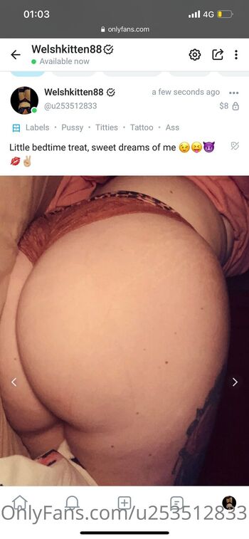 Welshkitten8 / u253512833 nude photo #34