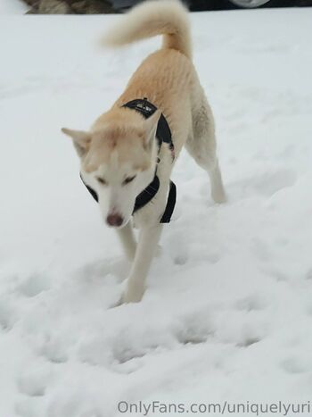 Princess Urimare Liberta / uniquelyuri / princessuri27 nude photo #27