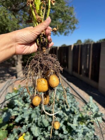 Vanessa Veracru / vanessa_veracruz nude photo #34