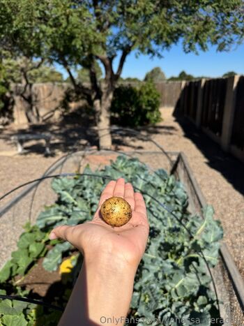 Vanessa Veracru / vanessa_veracruz nude photo #35