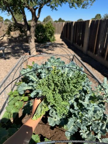 Vanessa Veracru / vanessa_veracruz nude photo #36