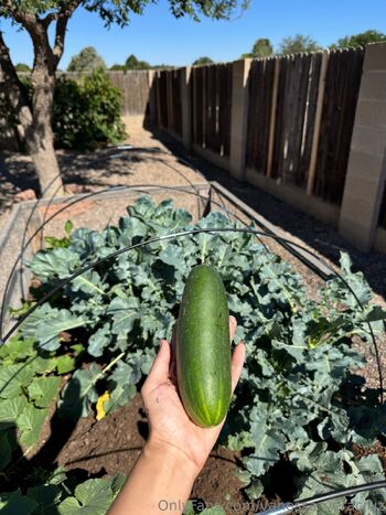 Vanessa Veracru / vanessa_veracruz nude photo #37