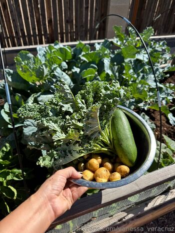 Vanessa Veracru / vanessa_veracruz nude photo #38