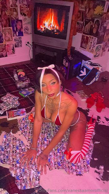 Vanessa Amo / vanessaamorofficial nude photo #15