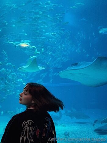 Verkka Kauppa / verkka.kauppa nude photo #36