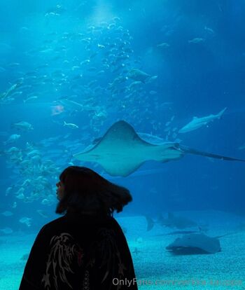 Verkka Kauppa / verkka.kauppa nude photo #37