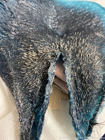 Horseshoe Brazilian Wax Trainin / waxdayspa nude photo #2