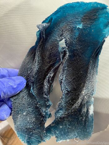 Horseshoe Brazilian Wax Trainin / waxdayspa nude photo #3