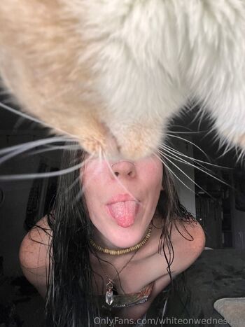 Wednesda / whiteonwednesday / white.on.wednesday / wowednesday000 / wowednesday nude photo #16