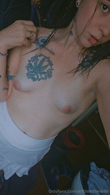 Kitte / wlittlekitten666 nude photo #13