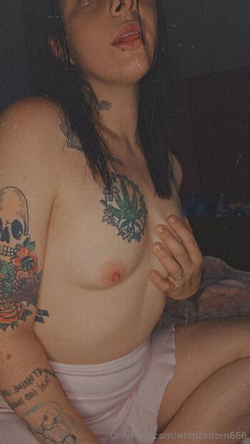 Kitte / wlittlekitten666 nude photo #26