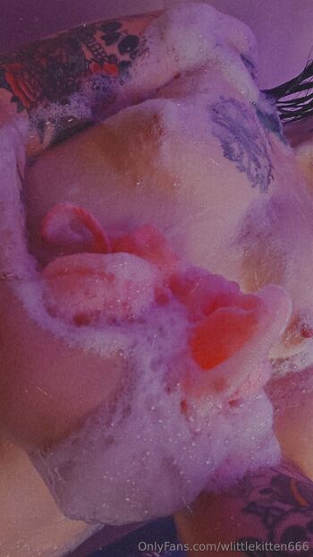 wlittlekitten666