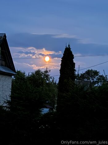 Jules Bond T / wm_jules nude photo #3