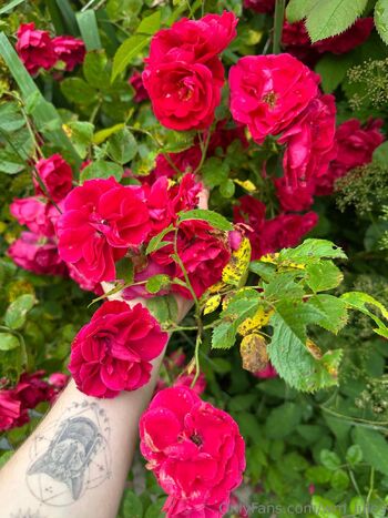 Jules Bond T / wm_jules nude photo #10