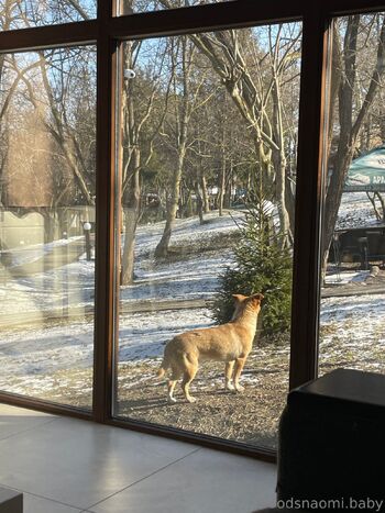 𝙉𝘼𝙊𝙈𝙄 / woodsnaomi / usnaomi nude photo #9