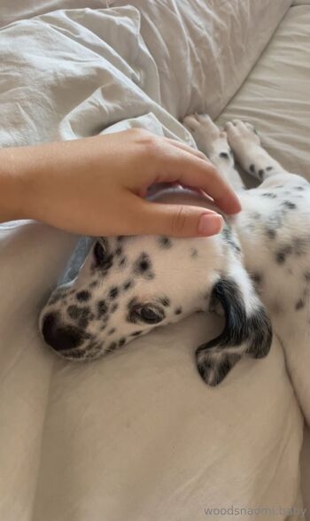 𝙉𝘼𝙊𝙈𝙄 / woodsnaomi / usnaomi nude photo #15