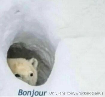 WreckingDianu / wreckingdianus nude photo #2