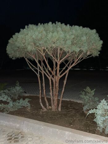 Aevr / xaevra nude photo #1