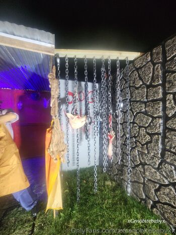 xxcenobitebabyx / xxcenobitebabyxx nude photo #31