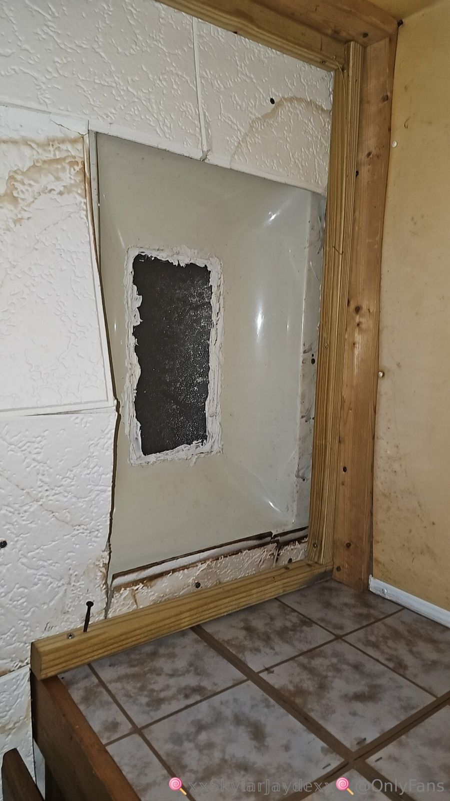 𓆩𓆪𝑆𝑘𝑦𝑙𝑎𝑟 𝐽𝑎𝑦𝑑𝑒𓆩 / xxskylarjaydexx nude photo #4