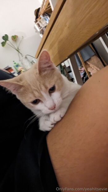 Evangeline / yeahitsevie nude photo #16