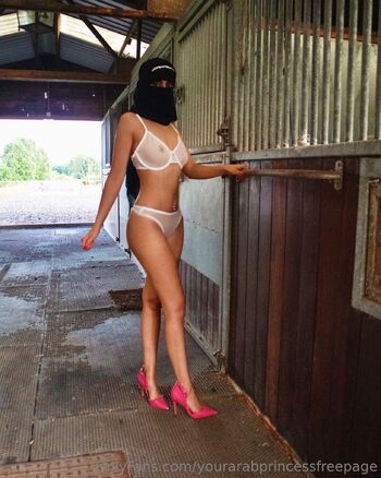 YourArabPrincess FREE PAGE Top 0.4 / yourarabprincessfreepage nude photo #2