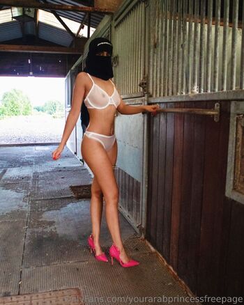 YourArabPrincess FREE PAGE Top 0.4 / yourarabprincessfreepage nude photo #15