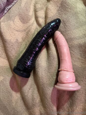 𝑩𝒐𝒐𝒃𝒊𝒔 𝑩𝒆𝒆𝒍 / zallybell nude photo #3