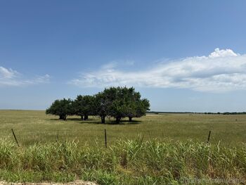 alyssa / zipos nude photo #8